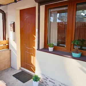 Bazatatry świstak Zakopane